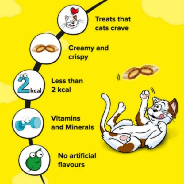 تشویقی گربه دریمیز مدل Chicken وزن 60 گرم