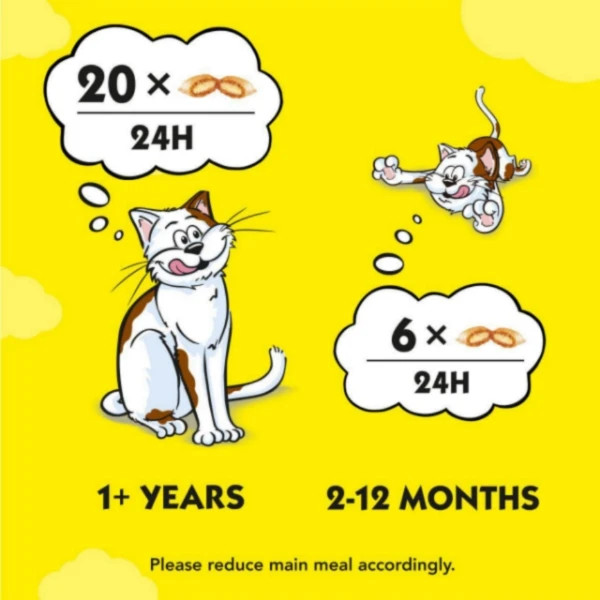 تشویقی گربه دریمیز مدل Chicken وزن 60 گرم